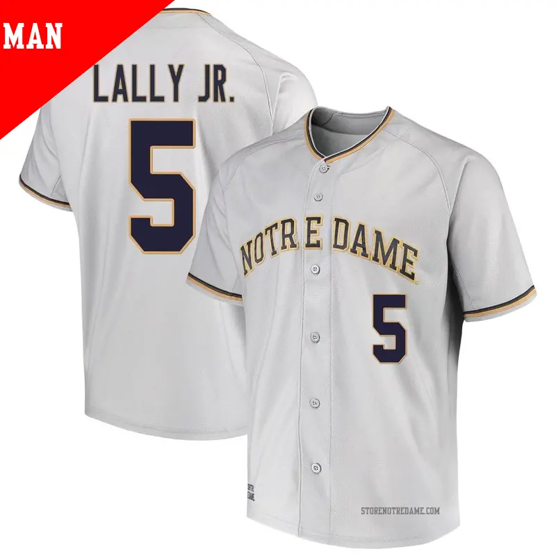 Men's ＃5 David Lally Jr. Notre Dame Fighting Irish Replica Gray Performance Baseball Jersey